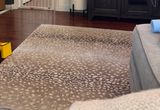 IMG_1737.jpeg