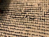 IMG_2378.jpeg